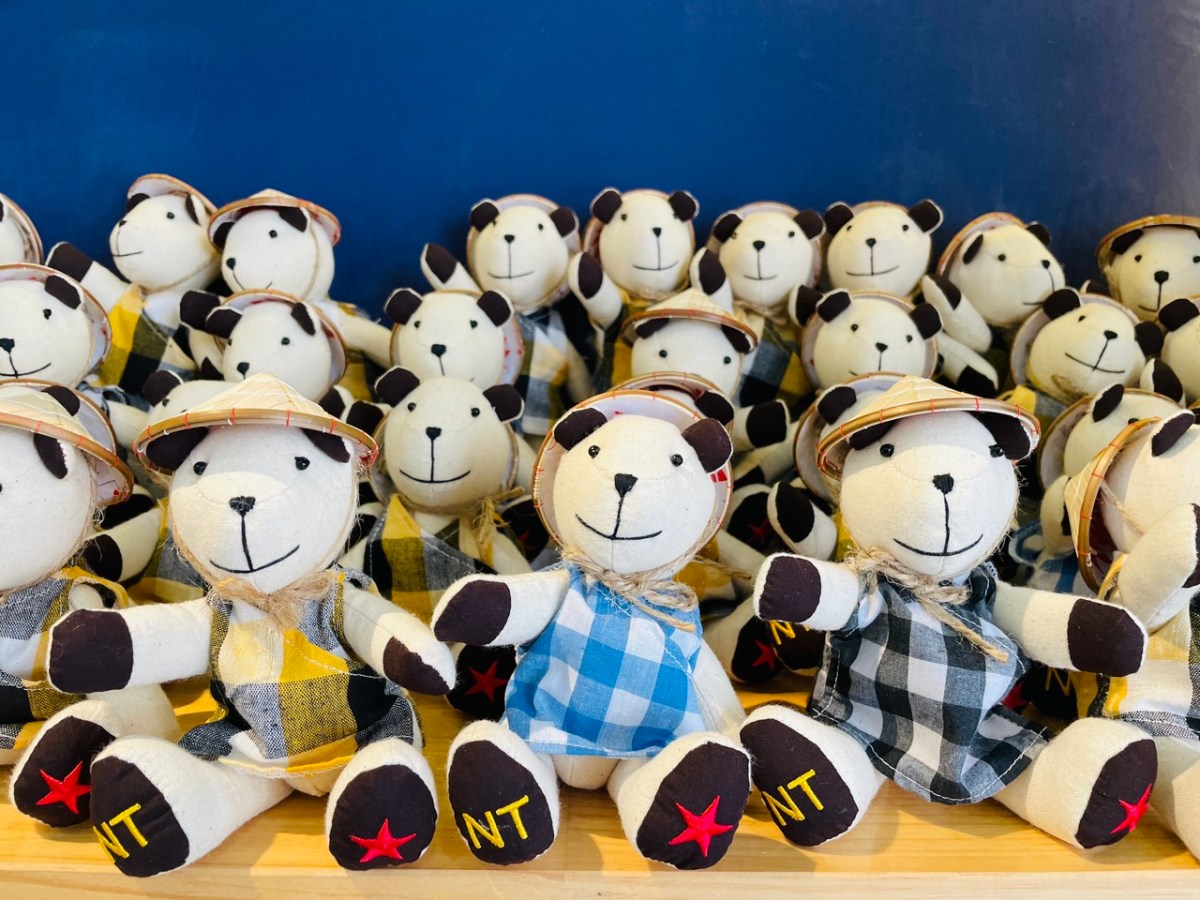 Nha Trang Teddy Bear&nbsp;🧸